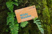 Wilde Wunder Card, © weinfranz.at