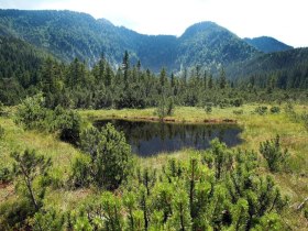High moor Leckermoos, &copy; weinfranz.at