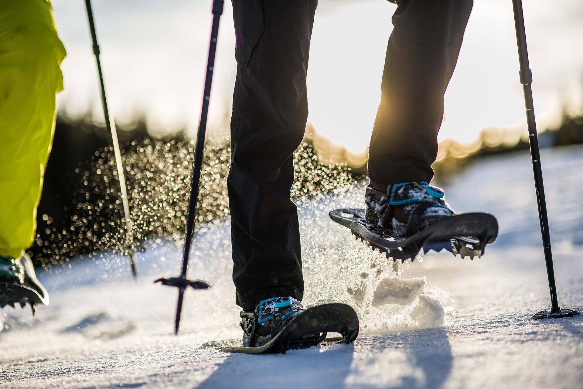 Die frische, klare Luft umhüllt die Wanderer, während sie mit Schneeschuhen durch die glitzernde Winterlandschaft stapfen. Jeder Schritt hinterlässt eine Spur im unberührten Schnee, und die sanften Hügel der Wiener Alpen bieten eine atemberaubende Kulisse für dieses winterliche Abenteuer.