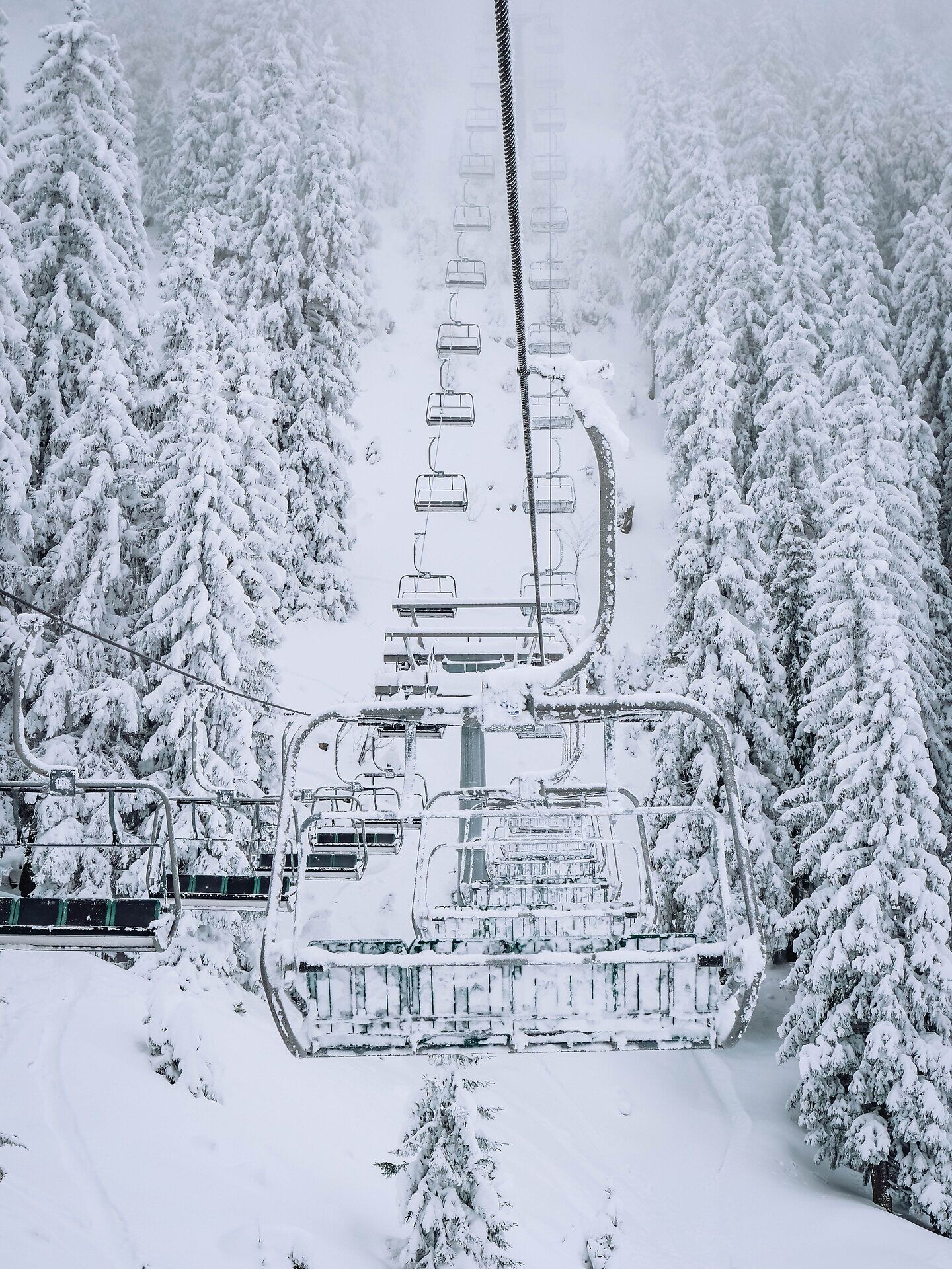 Die verschneiten Hänge laden zu unvergesslichen Abenteuern im Winter ein, während die frische Bergluft die Sinne belebt. Familien genießen die idyllische Atmosphäre und die Möglichkeit, gemeinsam die Pisten zu erkunden. Hier, umgeben von majestätischen Tannen, wird jeder Moment zu einem besonderen Erlebnis.