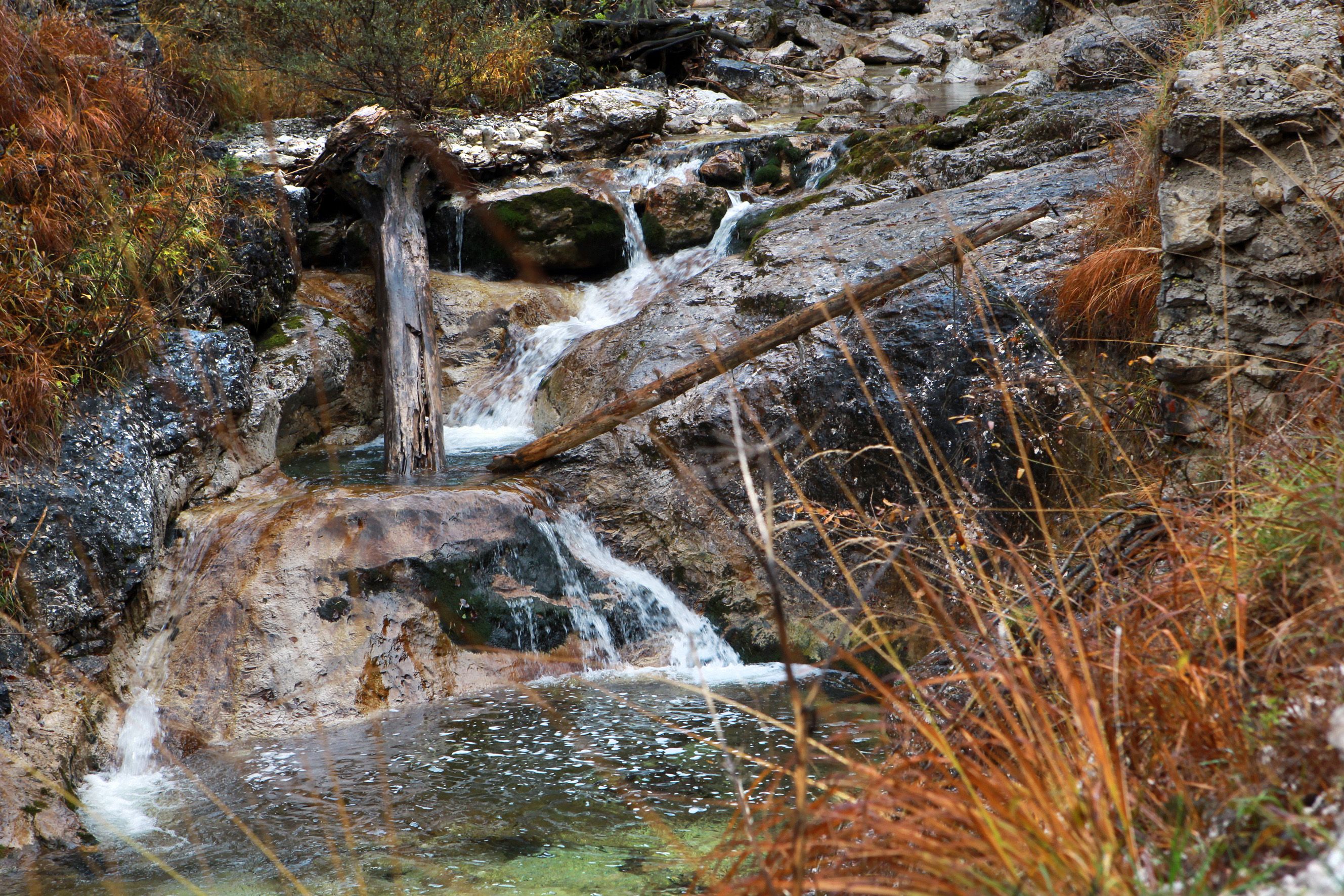 Small waterfall in the Dürrenstein wilderness area with rocks and autumnal vegetation.