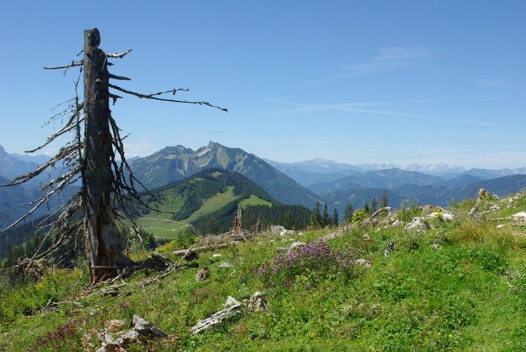 Haute Route 11th stage: Göstling - Hollenstein