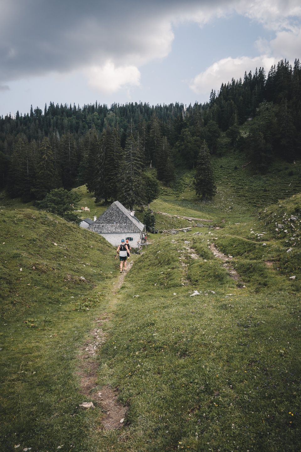 East Alpine Trail Hochkar - Lackenhof