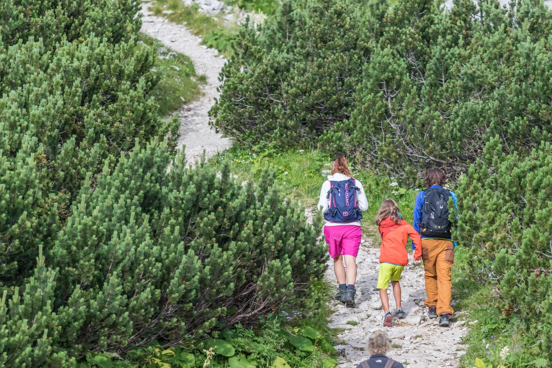 Hochkar hiking trail
