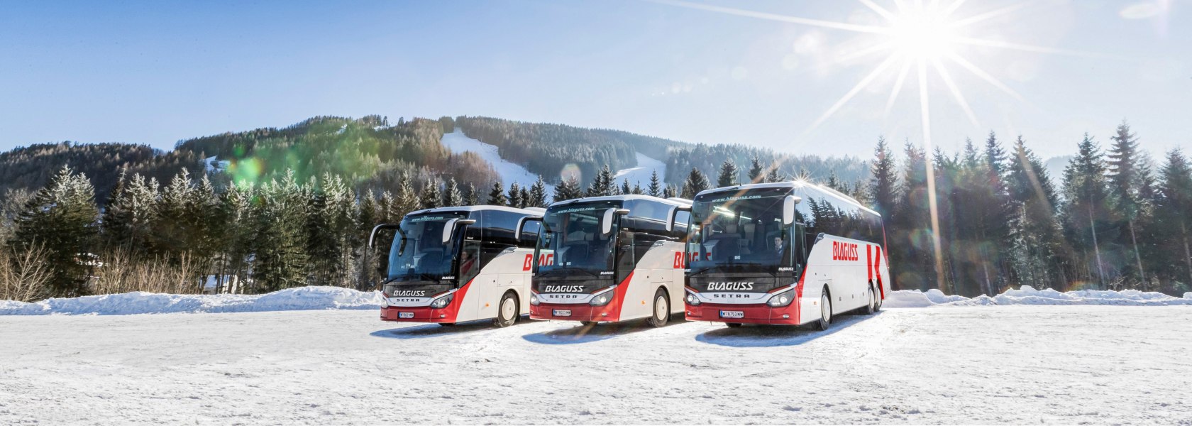 Busse im Schnee