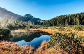 Leckermoor nature reserve, &copy; Heidi Zettel