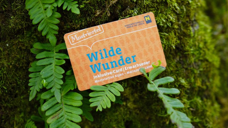 Wilde Wunder Card , © weinfranz.at