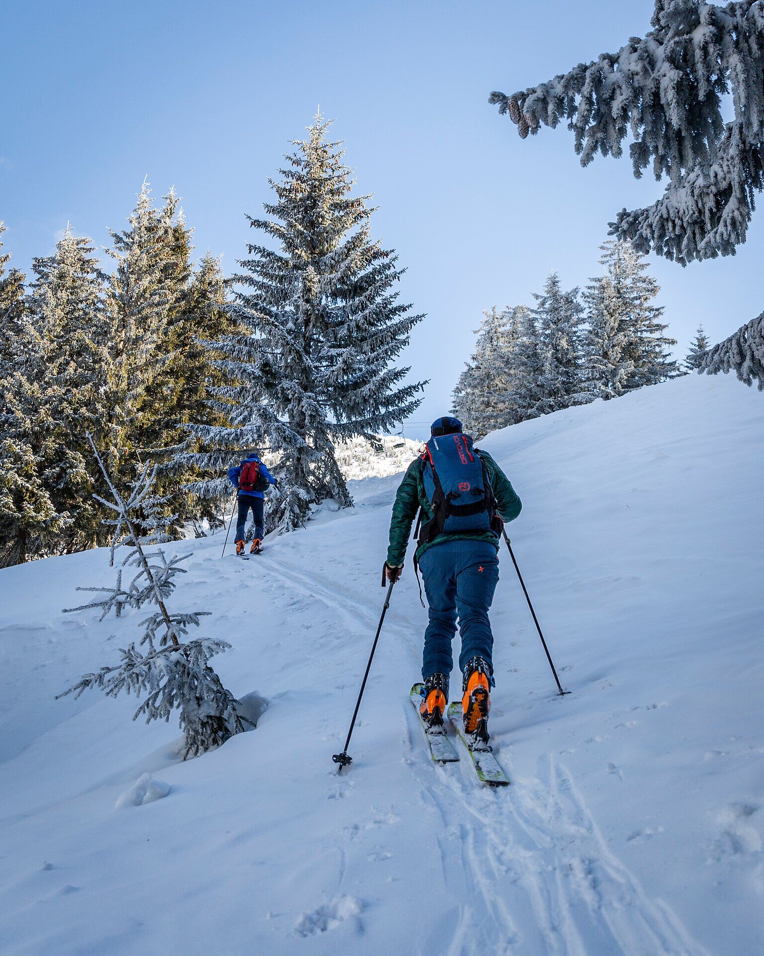 Die glitzernde Schneedecke erstreckt sich unter den Füßen der Skitourengeher, während sie durch die winterliche Landschaft wandern. Hohe, schneebedeckte Tannen umrahmen den Weg und schaffen eine friedliche Atmosphäre, die zum Verweilen einlädt. Hier, in der unberührten Natur, wird jeder Schritt zu einem unvergesslichen Erlebnis.