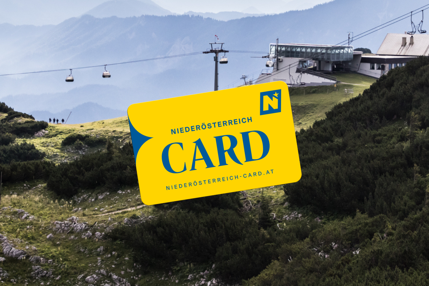 Noe-Card auf Hintergrund
