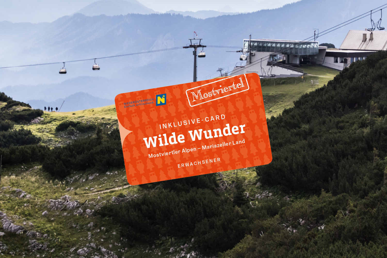 Wilde Wunder Card auf Hintergrund