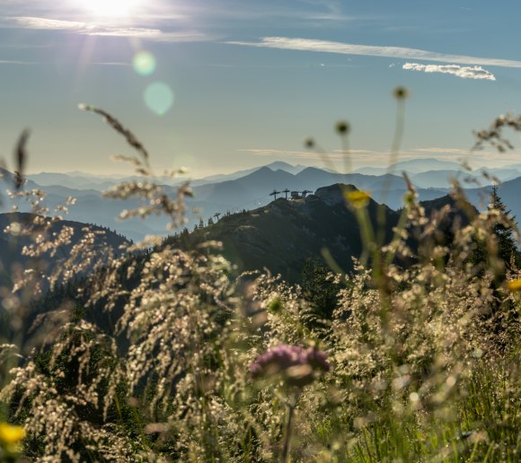 Blumenwiese am Hochkar, © Ludwig Fahrnberger