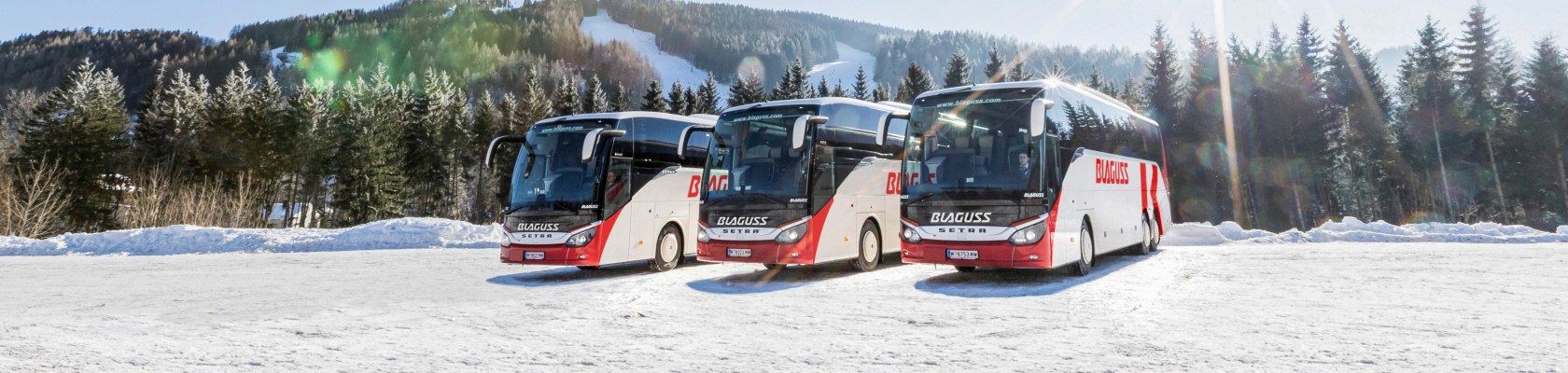 Busse im Schnee