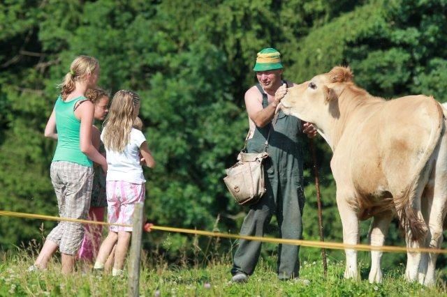On the Hochkar on the mountain pasture (Copyright: weinfranz.at)