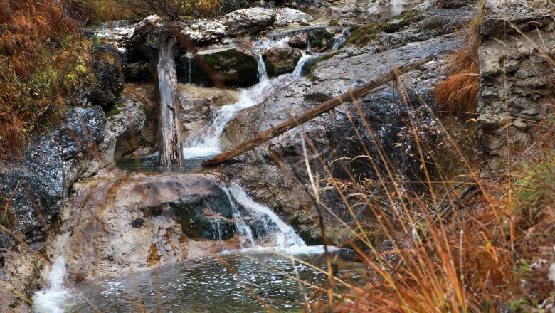 Small waterfall in the D&uuml;rrenstein wilderness area with rocks and autumnal vegetation.