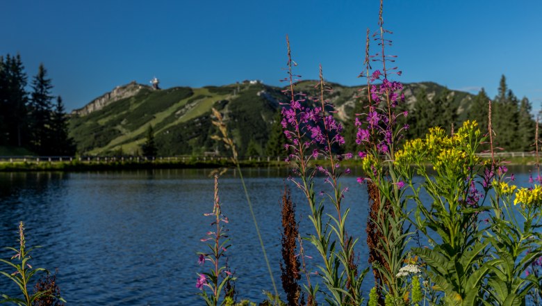 Bergsee am Hochkar, © Ludwig Fahrnberger